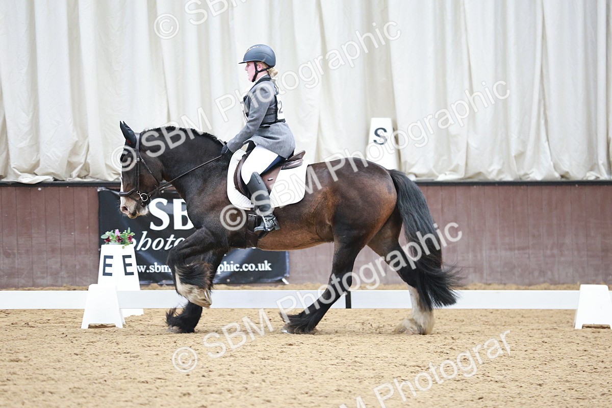 SBM_003855 - Class 2 - Novice 2020