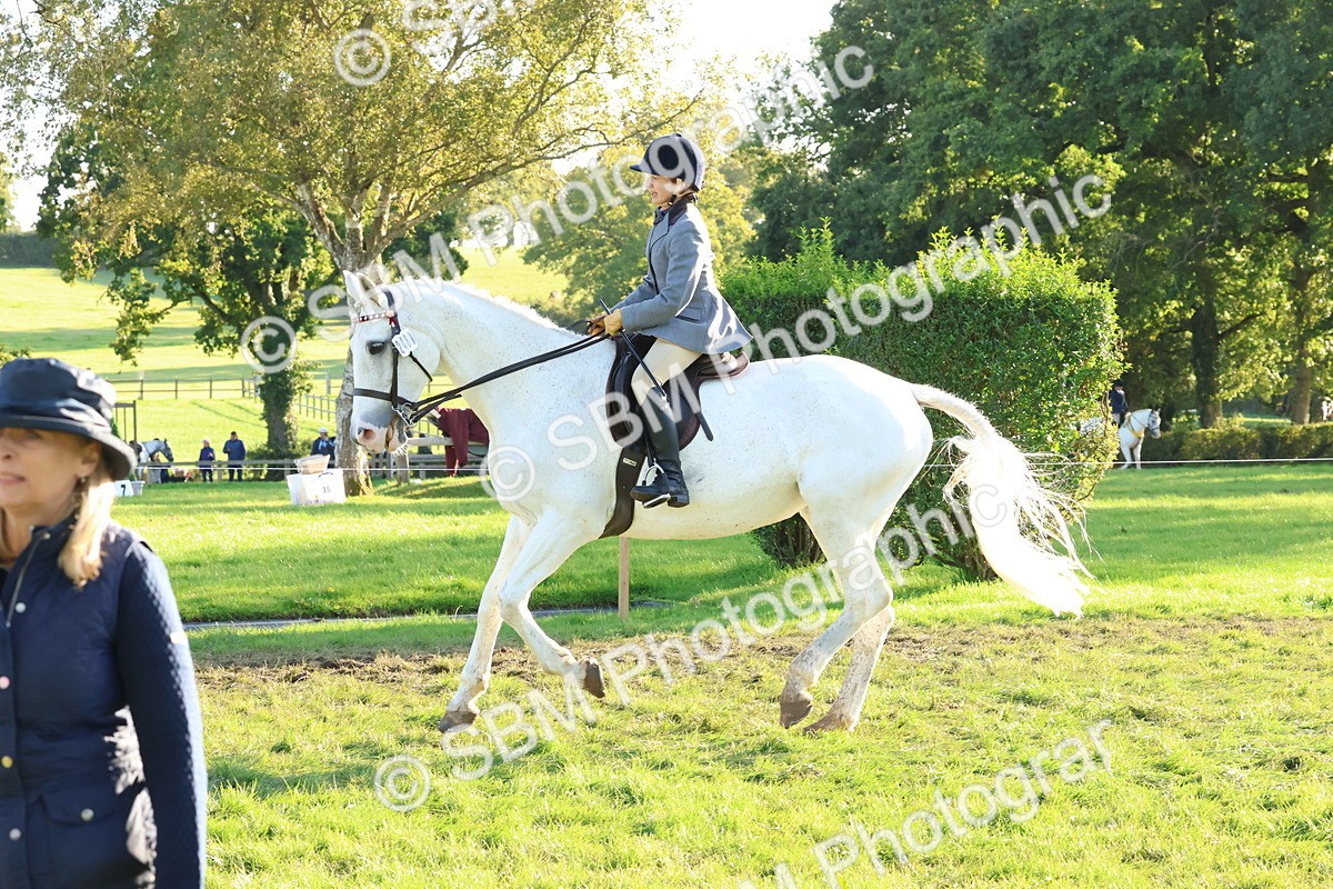 SBM_53016 - S29 - Mature Veteran Ridden