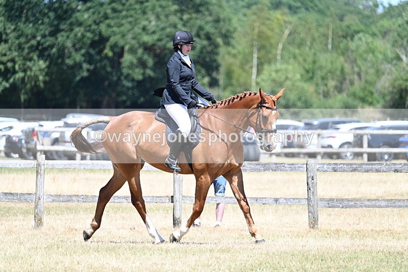 WJ7_2899 - Class 7 Riding Club Show Horse
