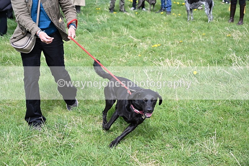 WJ6_8338 - Class 4 Prettiest Bitch