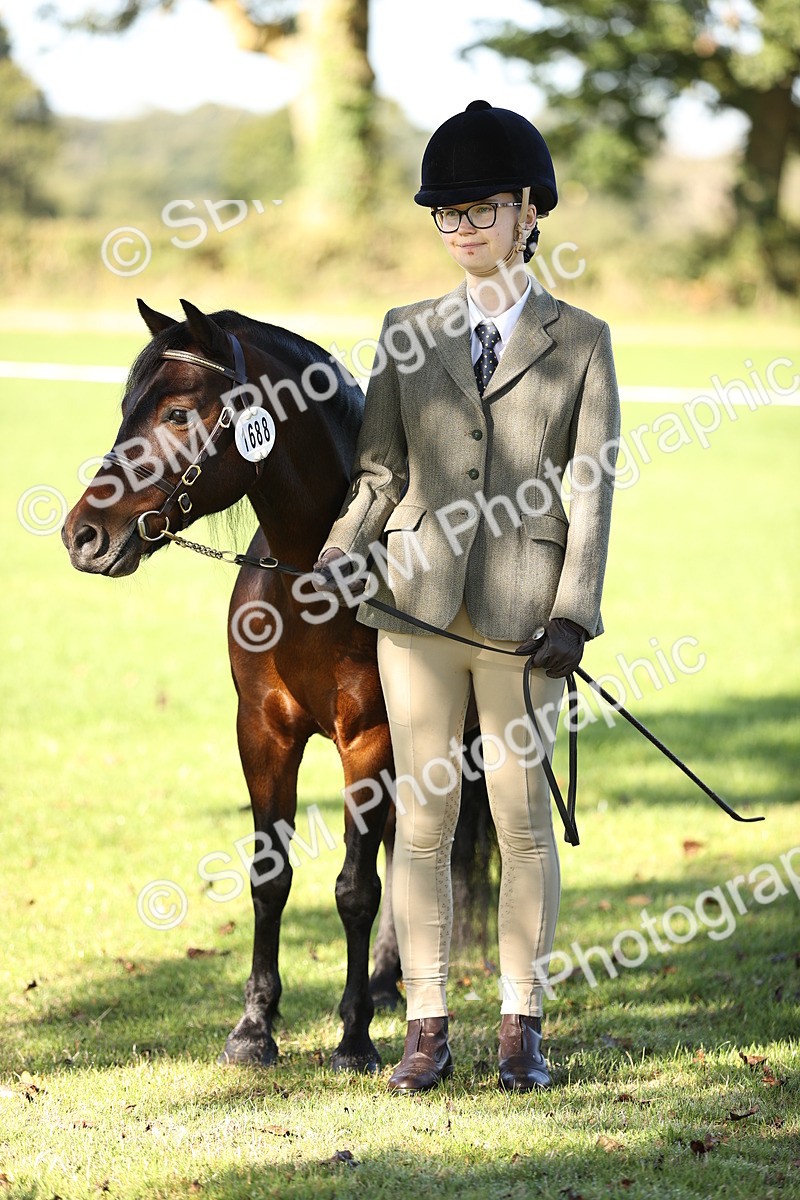 SBM_15807 - S1 - TSR in Hand Horse & Pony Showing