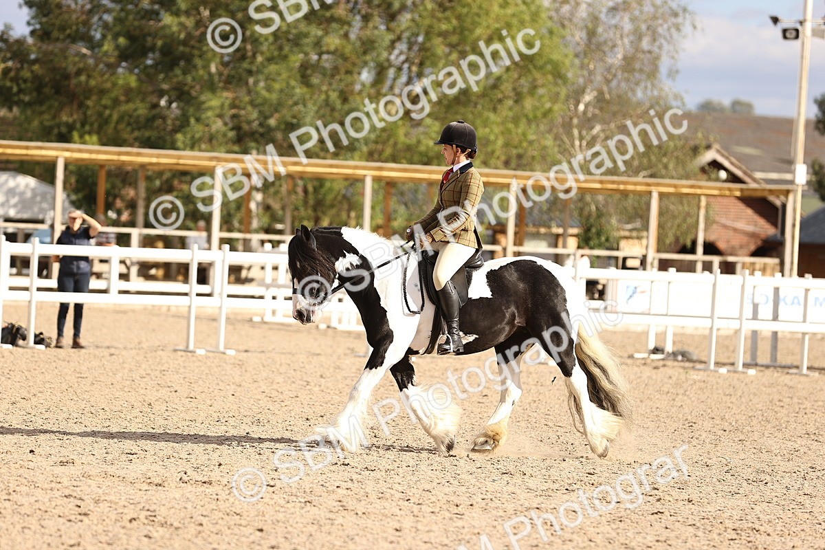 SBM_18252 - Class 423 - Equitation (best rider) Adult