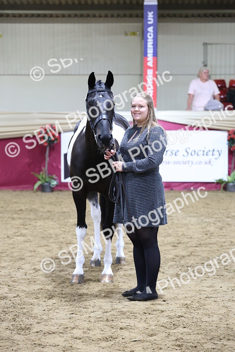SBM_20527 - Class G - IH Large (over 148cm)Champ