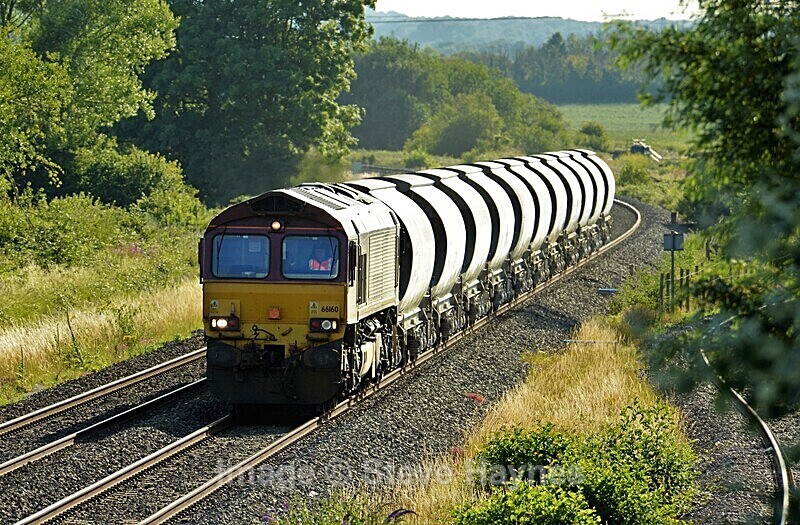 16th July 2020 - Norton Fitzwarren (nr. Taunton), Somerset