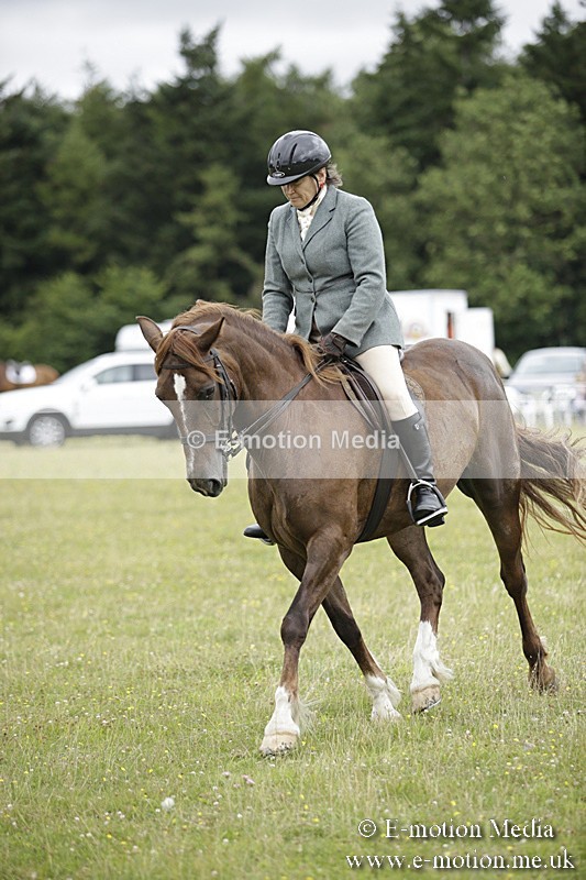 BVR160717-1333 - Ring 1 BVRC Show 16/07/17