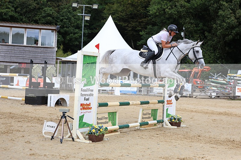 3E7A4496 - Class 8: Senior Foxhunter/1.20 open