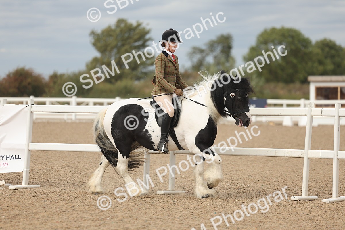 SBM_17992 - Class 314 - Family Horse Pony