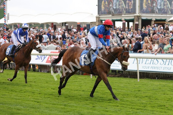 yr11062022r2-88 - Race 2 2.00pm Queen Mother's Cup
