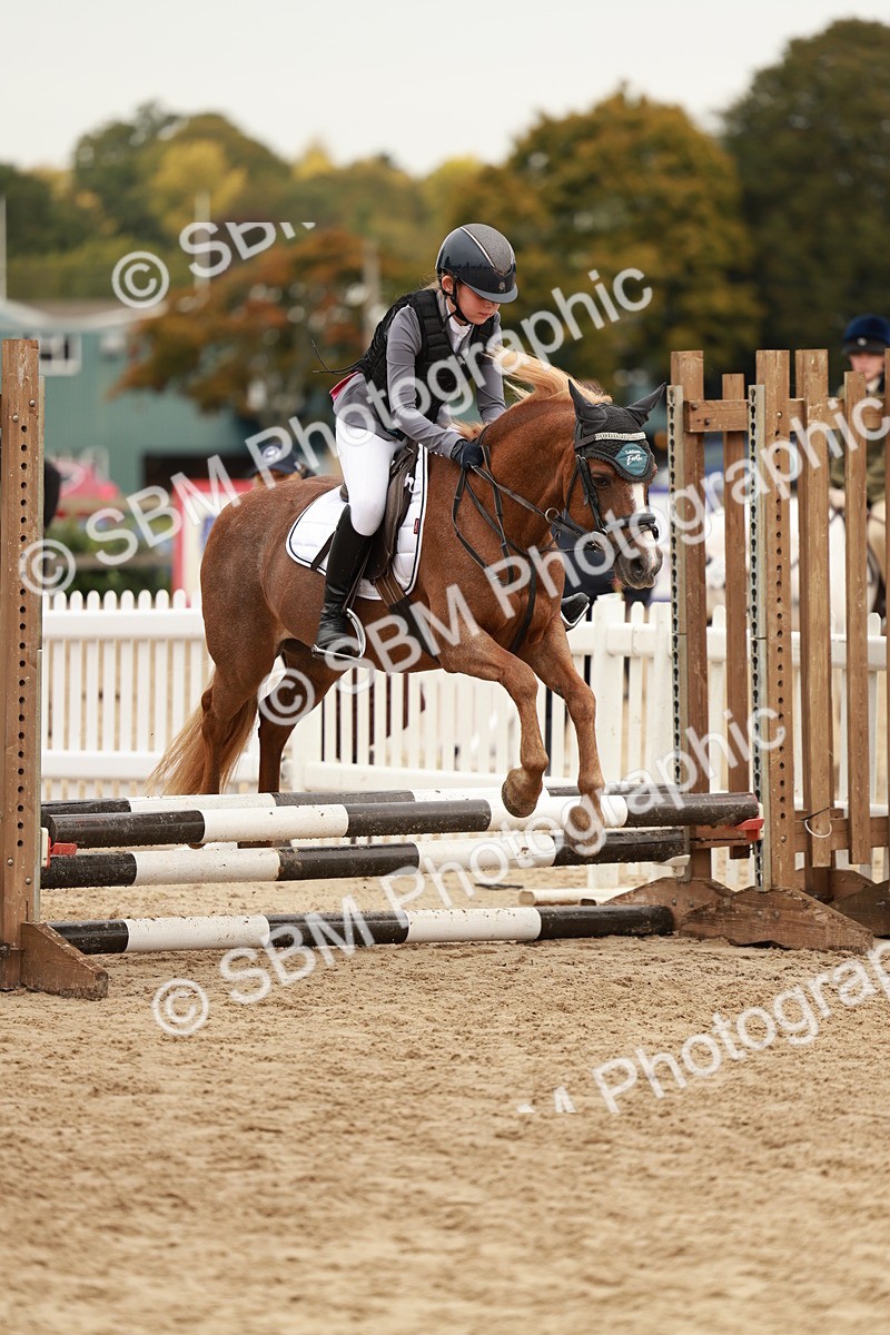 SBM_57973 - J11 - Junior Pony 50cm Championship