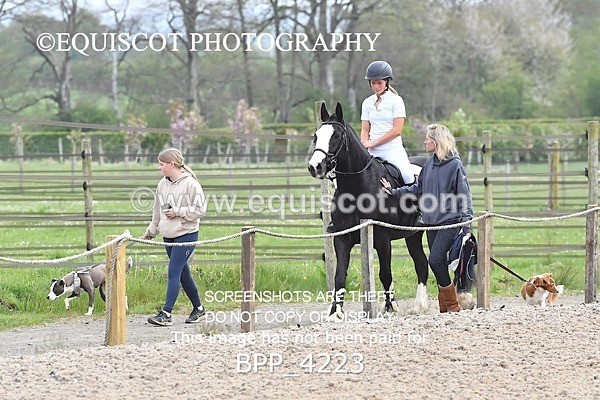 BPP_4223 - SUN CLASS 19 Club/ Unaff 80cms Open