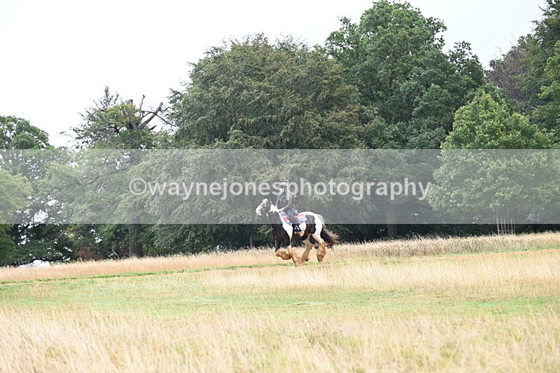 DSC_1914 - Time at Statue 12:13 to 12:32