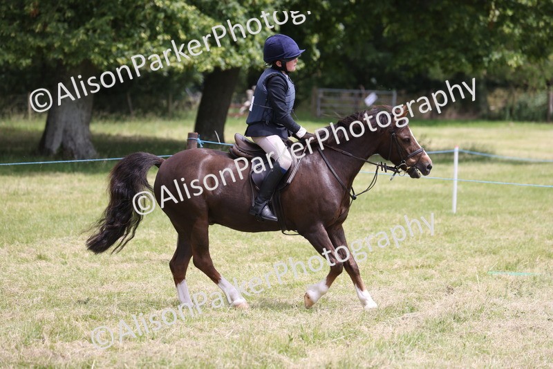 20260614-2794 - Class 22 - Open Working Hunter