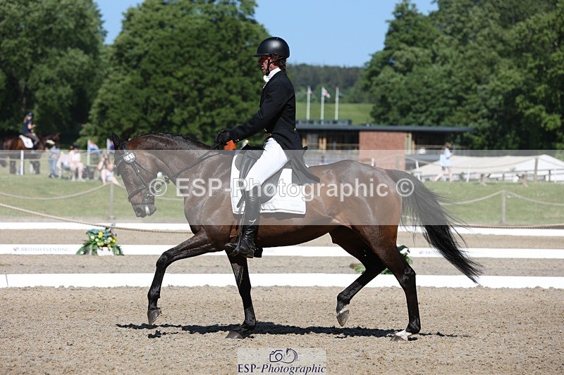 230526-102519-05257 - 361-FINCH_FANCY-Ben_Lee_Liles-WEDTrotUp+DR