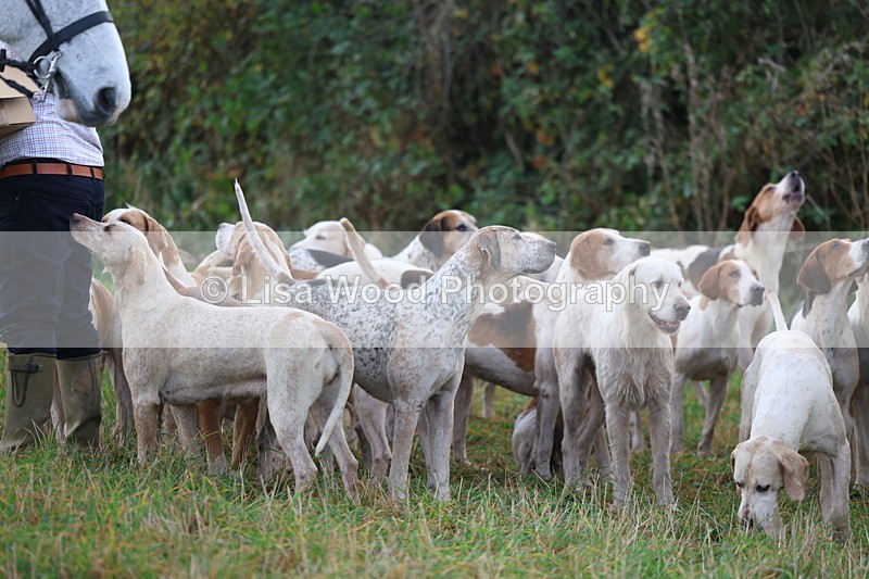 3E7A0579 - Four Burrow Opening Meet 2025