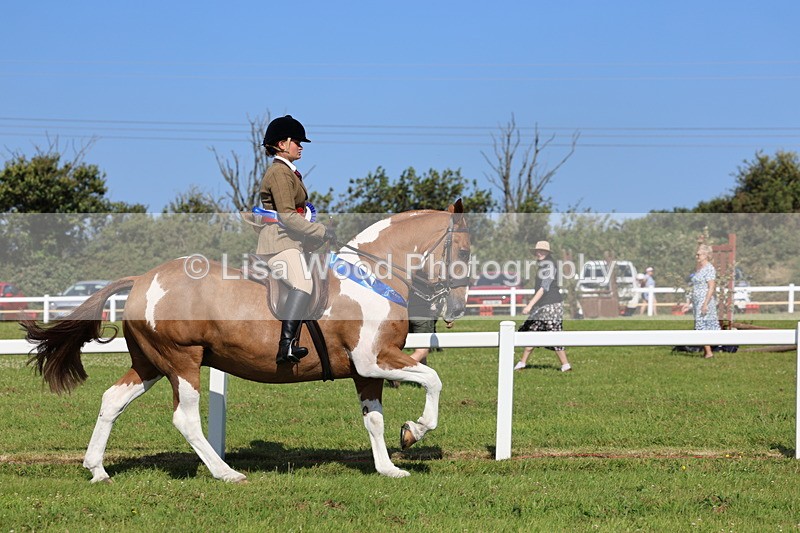 IMG_1696 - Skewbald and Piebald Ridden Championship