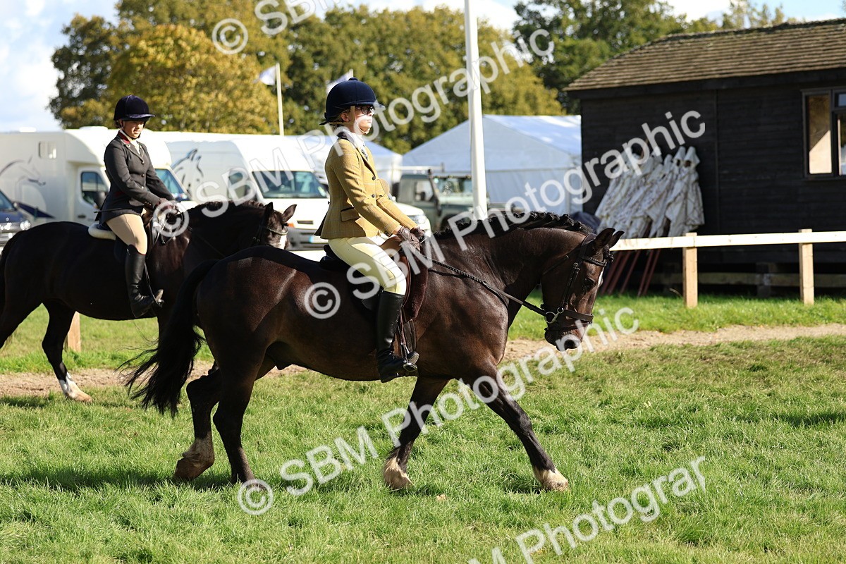 SBM_52357 - S13 - Pony Club Pony