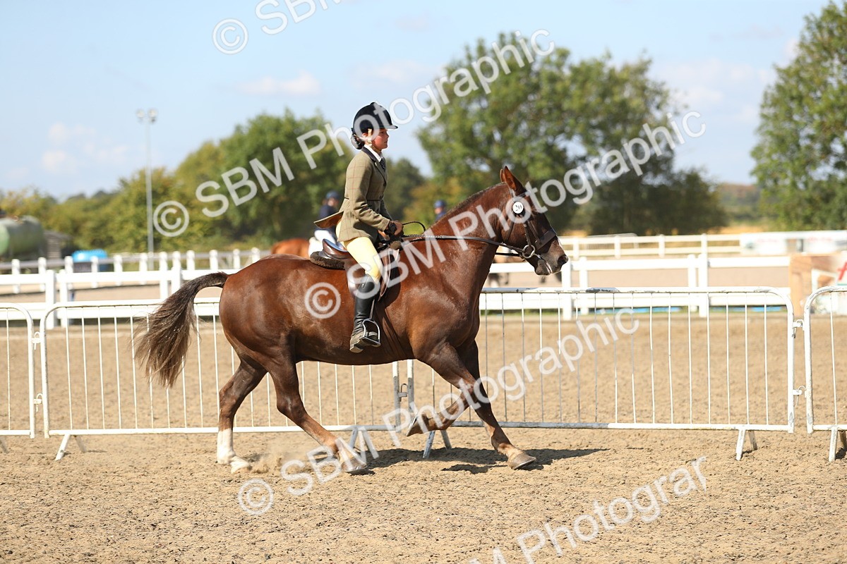 SBM_03153 - Class 44 Riding Club Horse/ Pony
