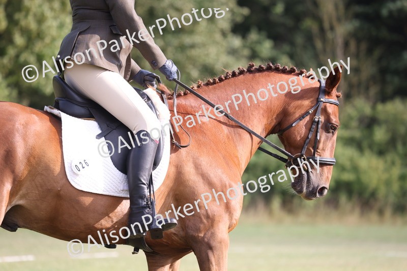 20250731-0011 - Class 2 - Prelim 3