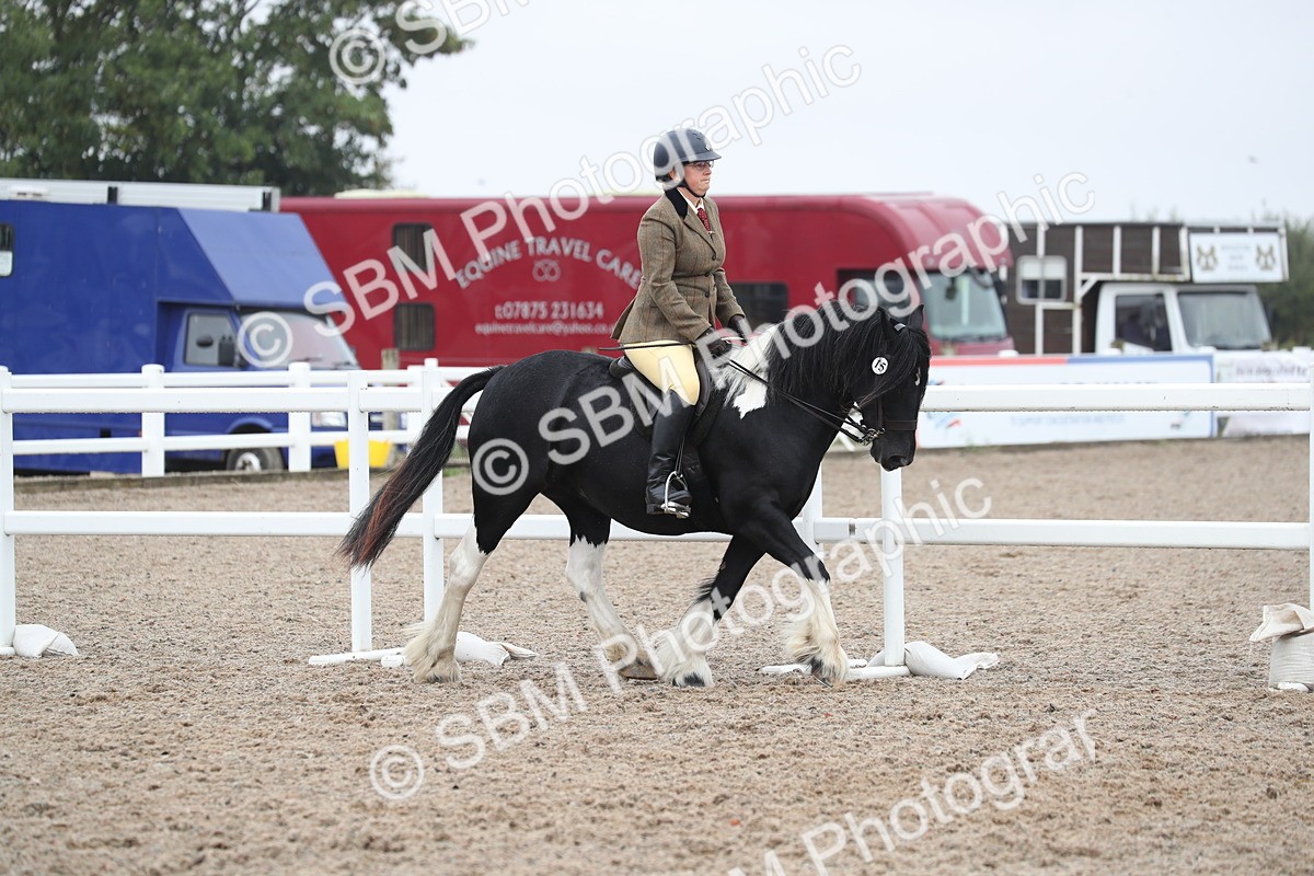 SBM_21937 - Class 603 - 2025 Area Ridden Pre Vet