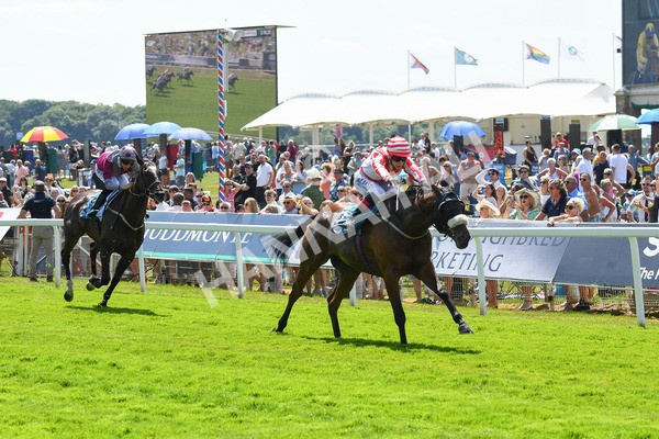 160623-Race 1-Menelaus-0181 - Race 1 1.50pm Andy Thornton Hospitality Furniture Apprentice Handicap