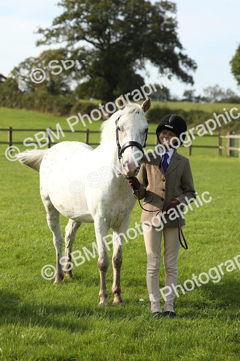 SBM_60988 - S43 - Coloured Pony In Hand