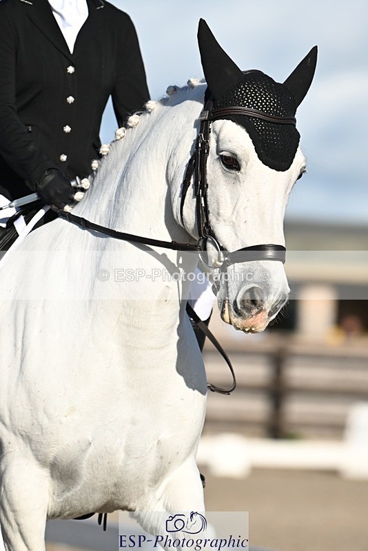 231105-140743-02298 - Cls 6 Prelim 2