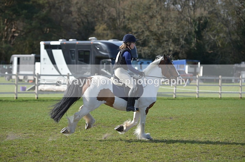 NGP_2667 - Time 14:44 to 15:11