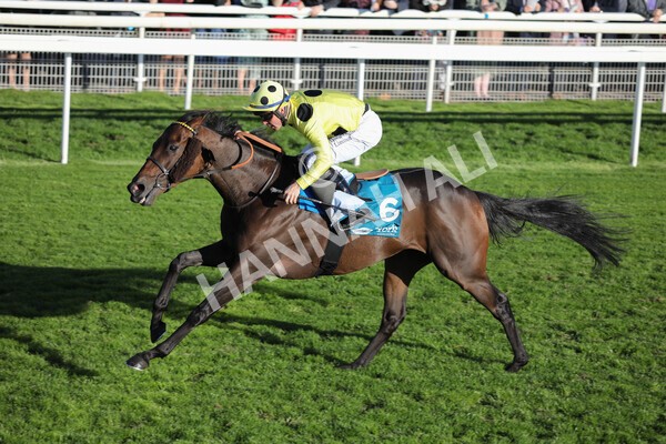 yr08102022r6-32 - Race 6 4.25pm The Watch Racing Online Free With Coral Handicap Stakes