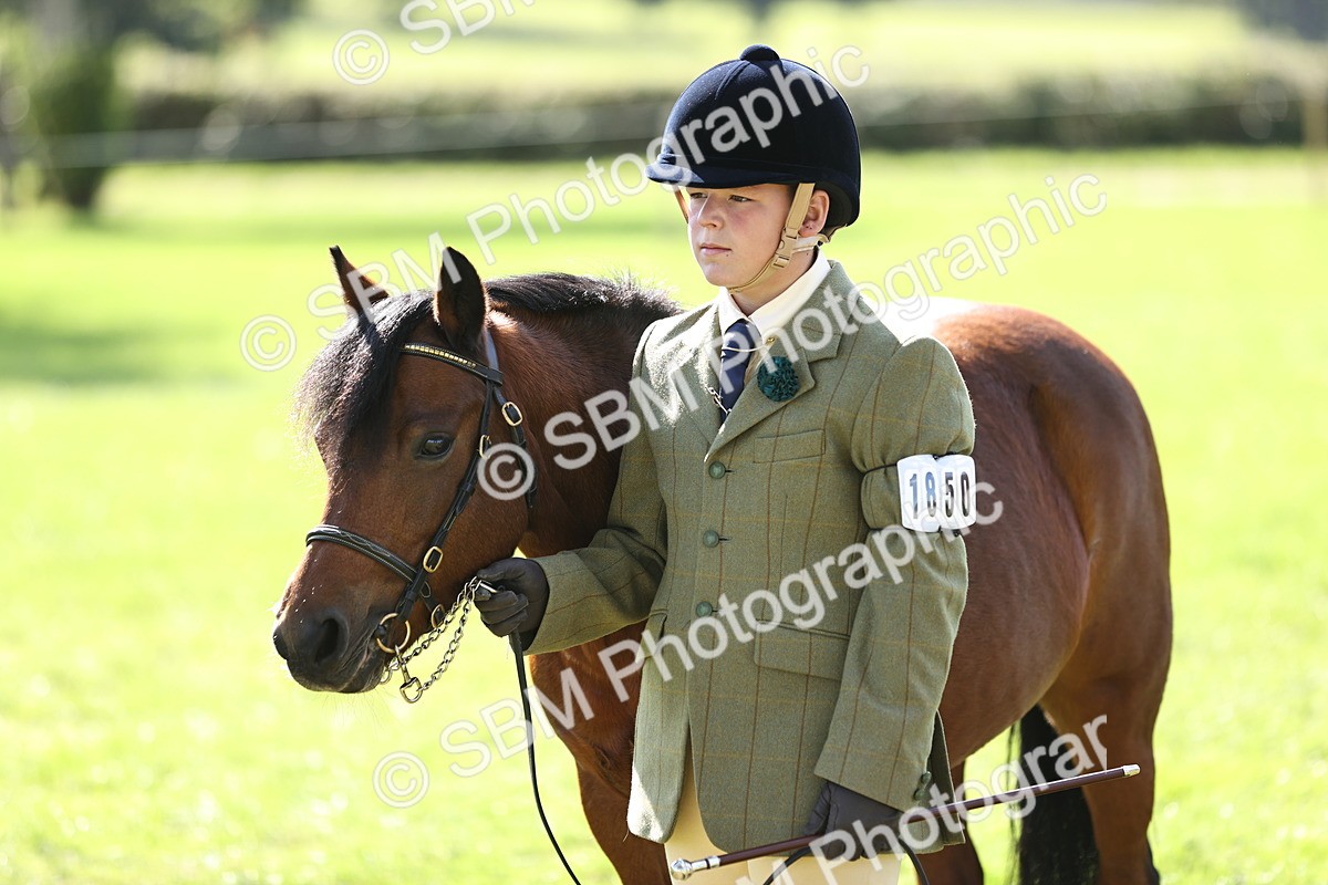 SBM_26221 - S5 - Novice & Newcomers In Hand