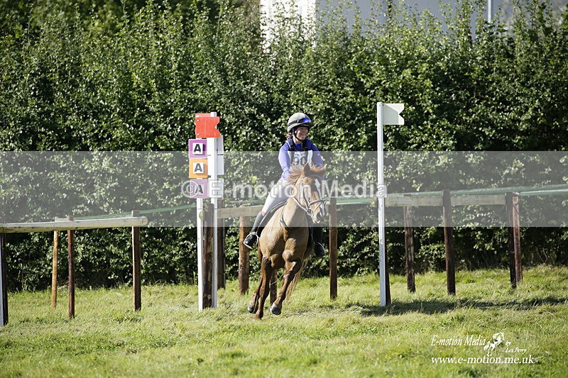  WWHT 031021 1541 - Open Novice (0.80m) 03/10/21