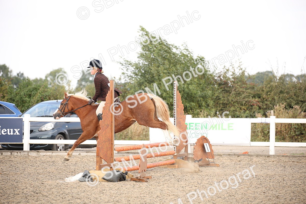 SBM_16022 - Class 408b - Working Veteran 70cm (20+)