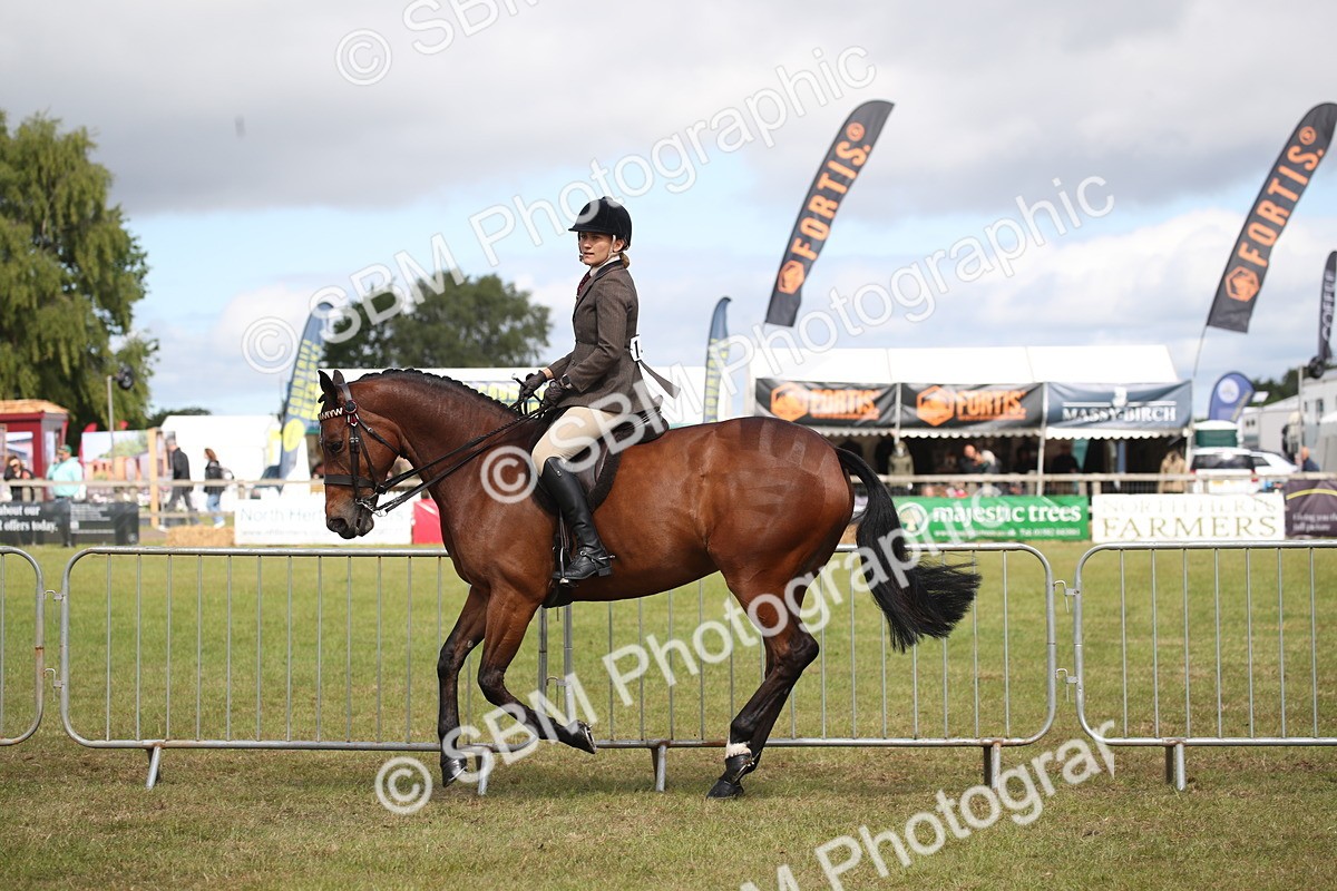 SBM_13251 - Class 95-96 - LIHS BSHA Rising Star Hack Riding Horse