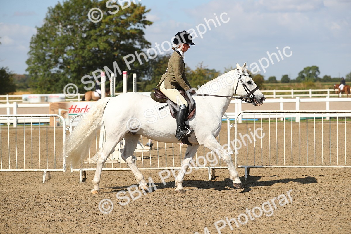 SBM_03125 - Class 44 Riding Club Horse/ Pony