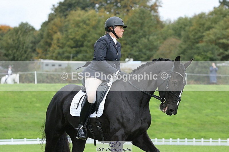 251023A-113946-03385 - D-315-Georgina.Marks