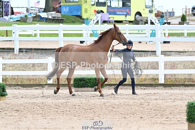 240717A-143005-02087 - Trot Up 2pm to 3pm - This folder is not in time order