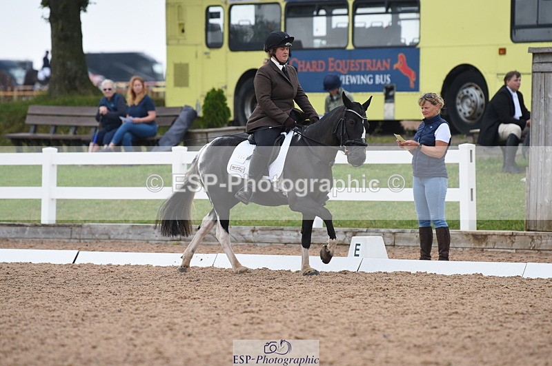 230708A-121006-01675 - Prelim 7