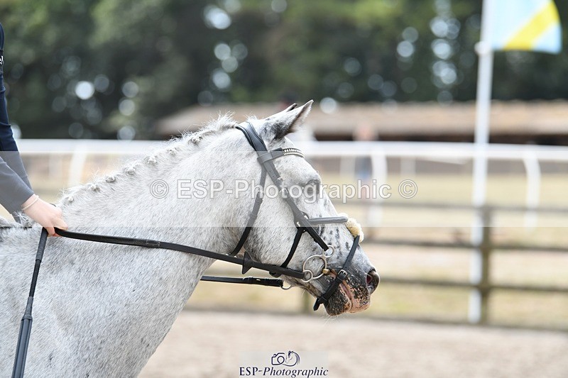 250822A-113659-21310 - NAF Round 1 11.30 to 12.50