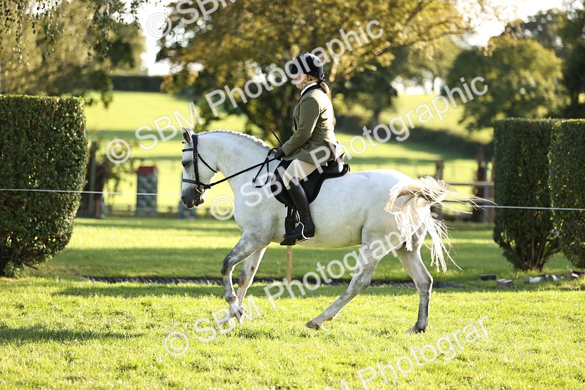 SBM_29594 - S7 - Novice & Newcomers Ridden Pony