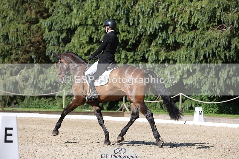 230526-165941-07884 - 174-LANCELOT_BMG-Alfie_Marshall-WEDTrotUp+DR