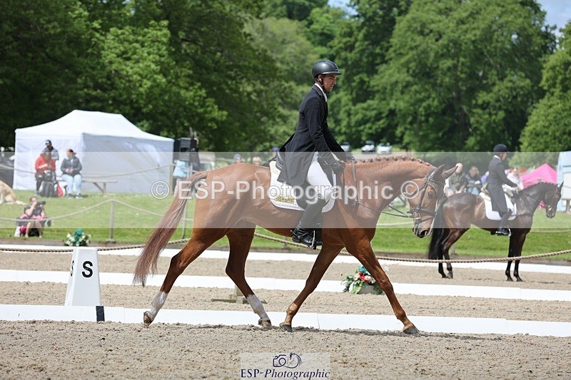 240523-120847-03718 - 223-MORNINGSTAR_VAN_ALTRIDO-Max_Warburton