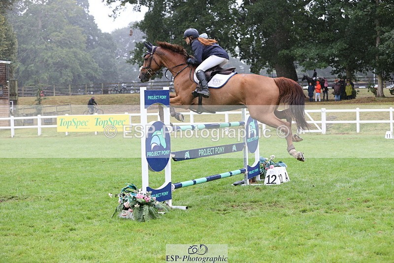 250830A-155311-07316 - Cls 17 Snr Foxhunter