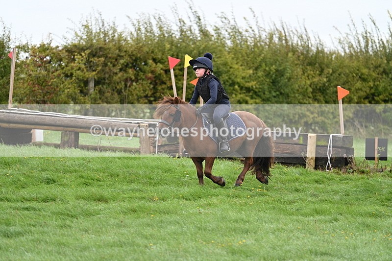 WJ7_7630 - Time 10:05 to 10:30  (3 cameras)