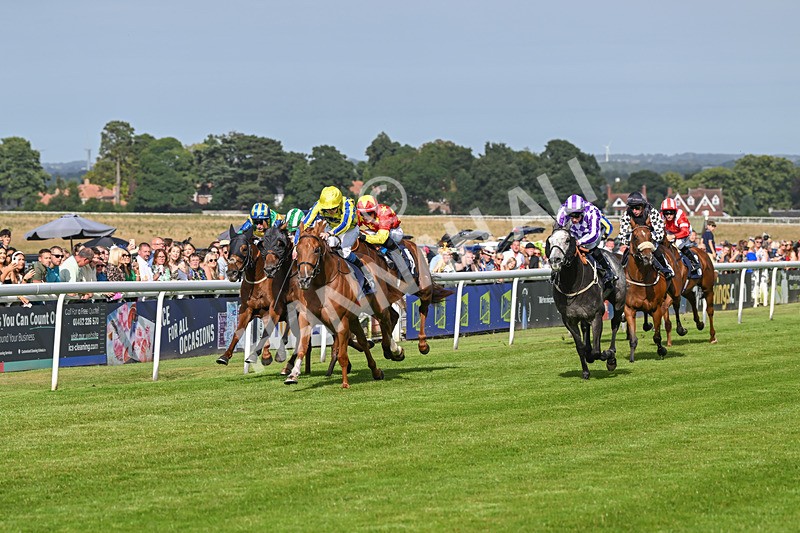 140824-Race 6-Glistening Nights-6858 - Race 6