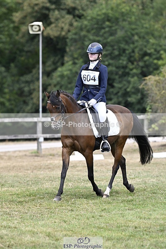 250822A-113935-22320 - DR 11.00 to 12.00