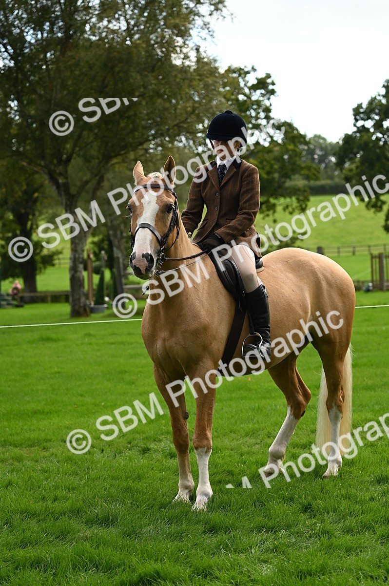 SBM_26373 - S6 - Novice & newcomer Ridden horse