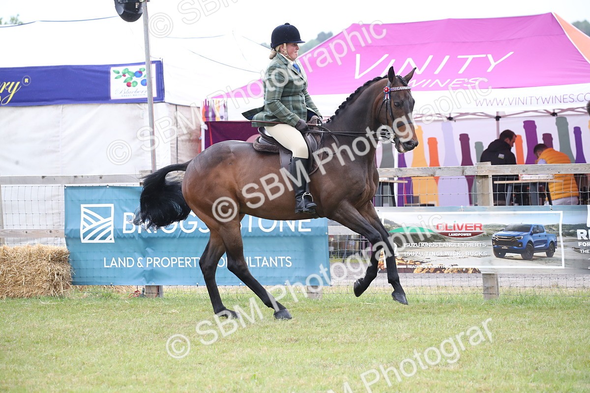 SBM_11421 - Class 94 - LIHS BSHA Racehorse to Showhorse