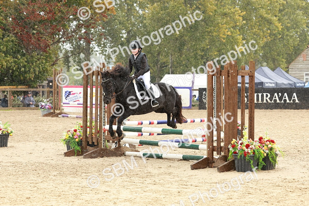 SBM_69335 - J13 - Junior Pony 60cm Championship