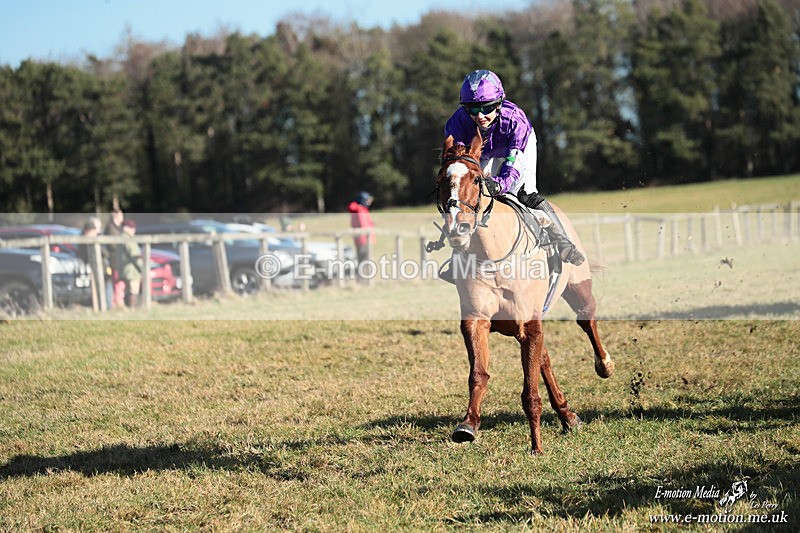 PR PtP 240126 356 - Pony Racing Horseheath 24/01/26