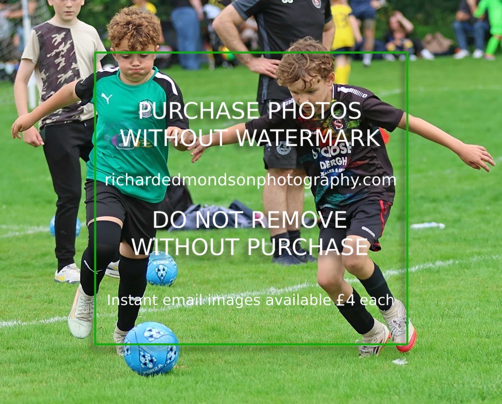 533A7919 - Burton Thistle