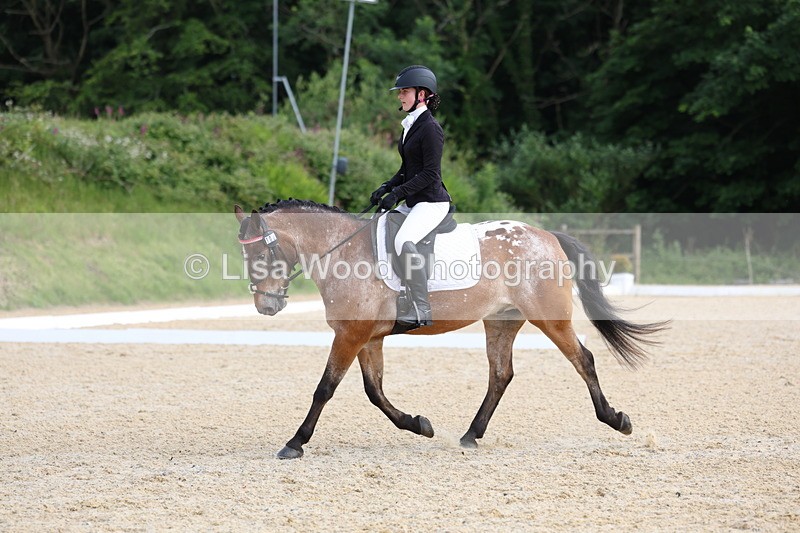 3E7A1453 - Class 2: Intro 2 2024 Section B